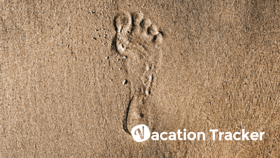 A Complete Guide to Bereavement Leave Policies