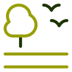 Trees boost economic growth, improve air quality, conserve energy, and provide a home for wildlife.
