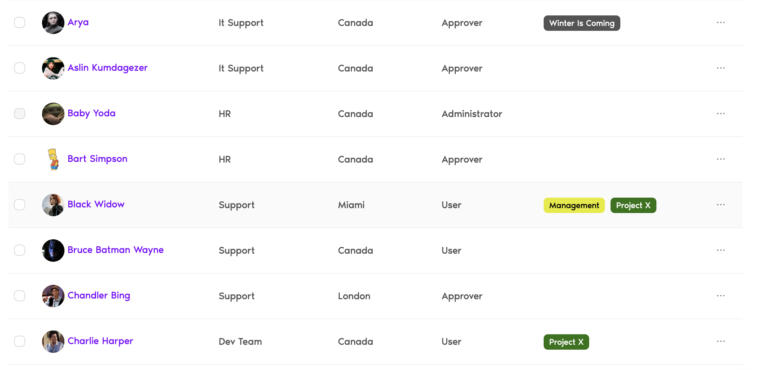Employee Vacation Tracker for Small Teams